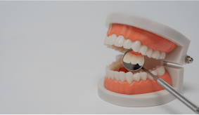 Model of dentures